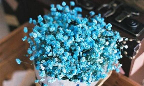 满天星花语（满天星的花语与寓意）