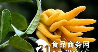 佛手柑的功效与作用是什么？如何正确使用佛手柑？