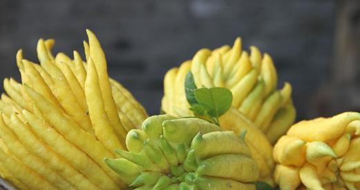 佛手柑的功效与作用是什么？如何正确使用佛手柑？