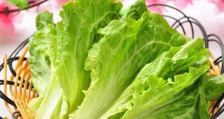 西生菜的功效与作用是什么？如何正确食用以获得最大益处？