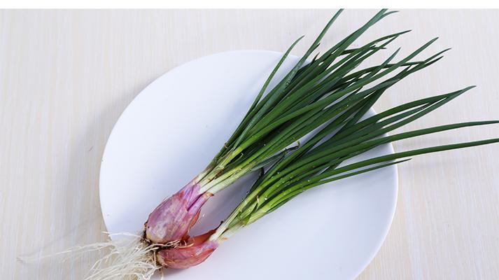 葱留种子的最佳方法是什么?葱种子如何正确保存?_花植网