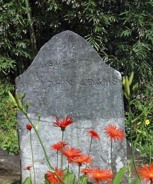 墓地适合种什么植物?选择植物有哪些注意事项?