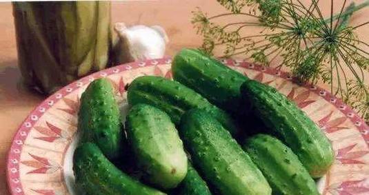 黄瓜怎么保存最保鲜?储存保鲜方法有哪些?