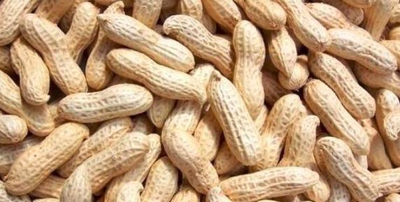 花生榨汁好喝的秘诀是什么？搭配什么食材最佳？