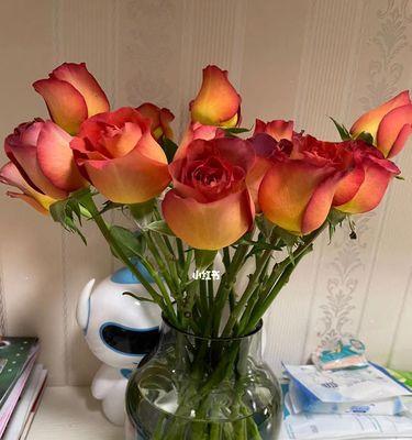 玫瑰花怎么醒花？醒花的正确步骤和注意事项是什么？