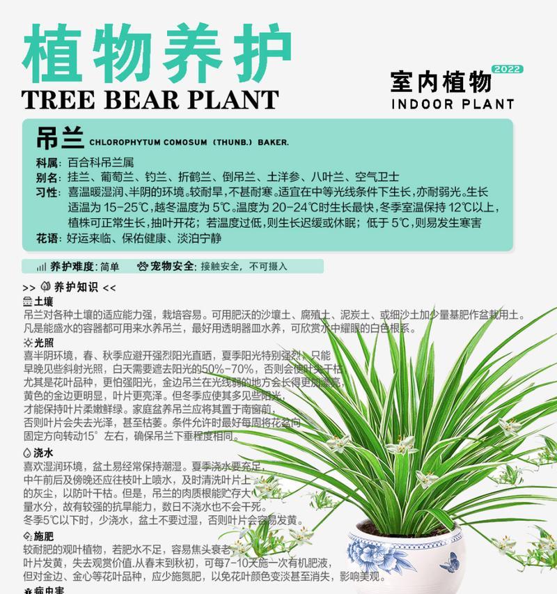 九里香叶子发黄怎么办？找出原因并采取补救措施！