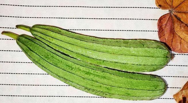 丝瓜的性质是什么？凉性还是热性？