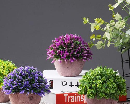 寝室里摆放哪些植物最合适？它们有哪些好处？