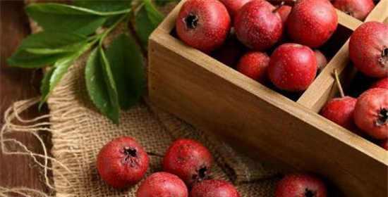 山楂的性质是什么？吃多了会上火吗？