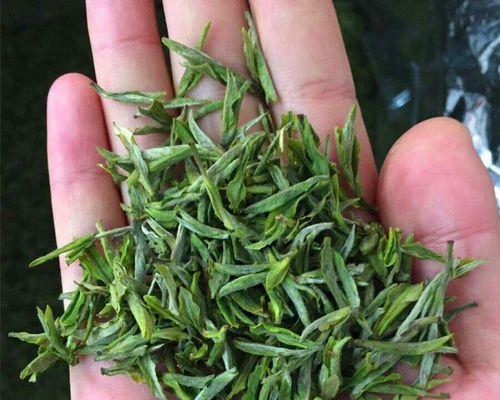黄芽是什么茶？黄芽茶的种类和特点有哪些？
