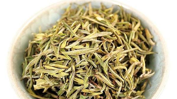 黄芽是什么茶？黄芽茶的种类和特点有哪些？