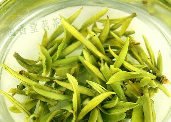 黄芽是什么茶？黄芽茶的种类和特点有哪些？