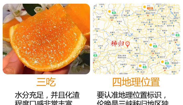 橙子的生长周期是多长时间？如何优化橙子的生长环境？