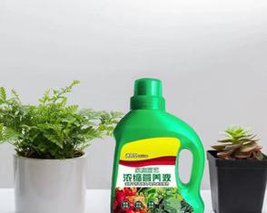 酸奶能用作花肥吗？使用酸奶养花有哪些注意事项？