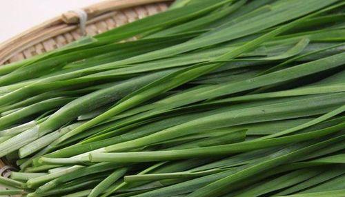 韭菜和什么搭配会相克？了解食物相克的真相！