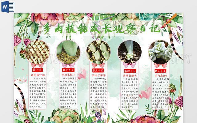 熊爪多肉繁殖方法是什么？繁殖过程中应注意哪些事项？