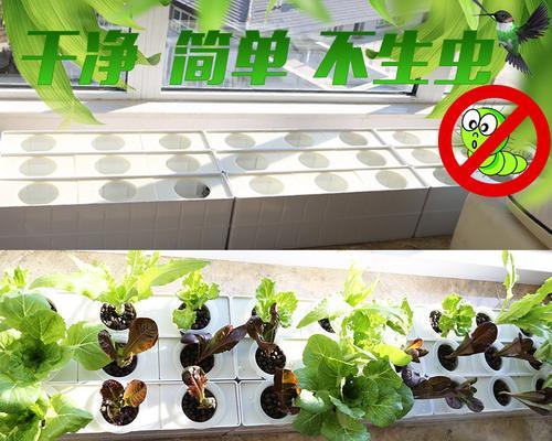 阳台种菜配土技巧是什么？如何满足种菜的土壤要求？