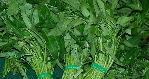 空心菜还有哪些别名？空心菜的营养价值是什么？