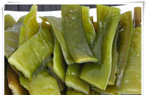 裙带菜属于藻类植物吗？它的分类和特性是什么？