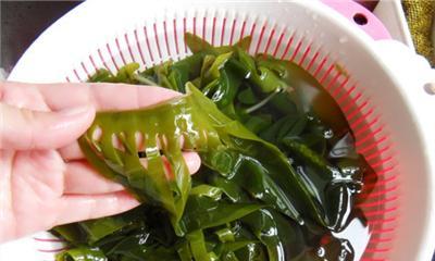 裙带菜属于藻类植物吗？它的分类和特性是什么？