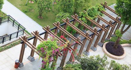 凉亭适合种什么植物？如何选择合适的植物进行搭配？