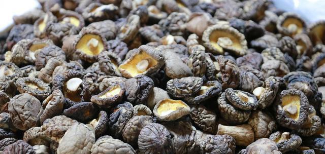 香菇怎么存放时间长？新鲜香菇保存方法有哪些？