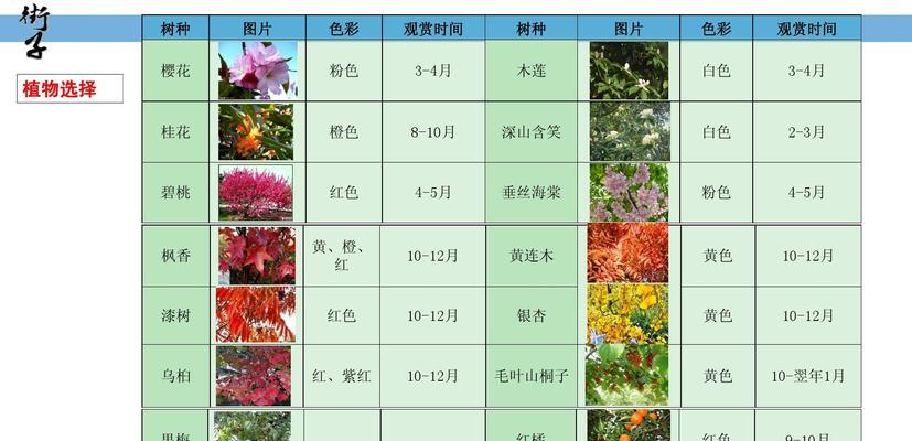郁金香什么时候种植最好？种植方法有哪些常见问题？