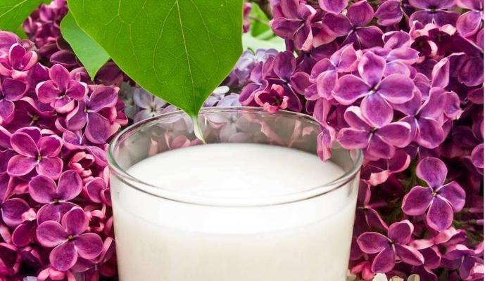 过期牛奶可以用来浇花吗？如何正确使用过期奶进行园艺？