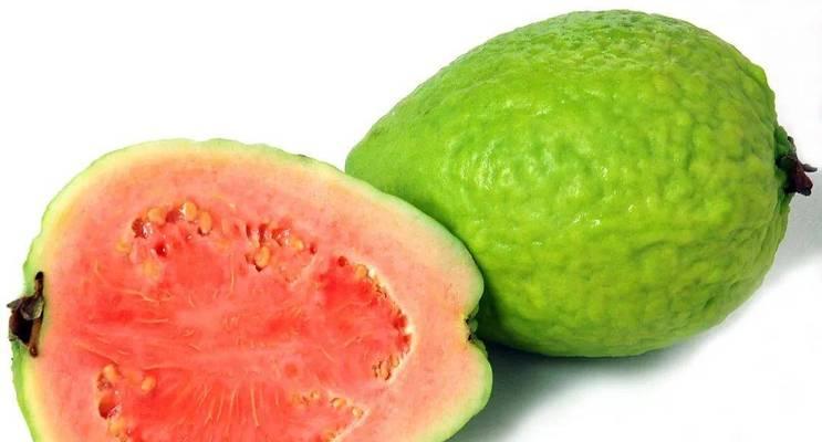 番石榴催熟方法有哪些？如何快速催熟番石榴？