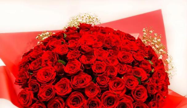 红玫瑰的花语（红玫瑰代表的含义与传达的情感）