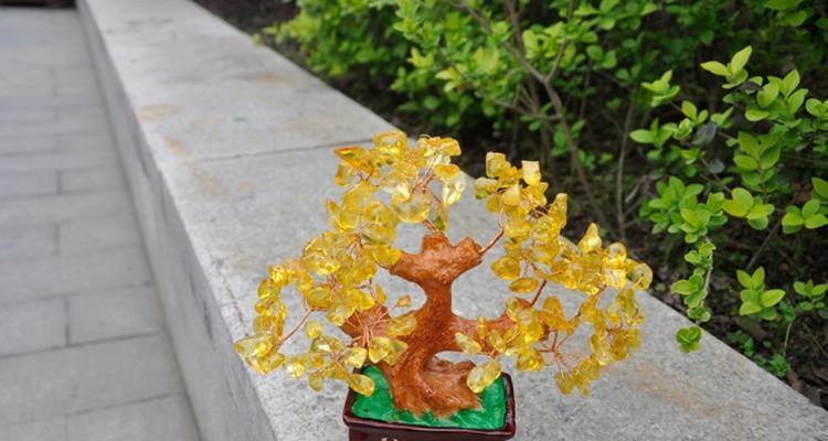 摇钱树的花语和文化象征（揭开摇钱树背后的寓意与神秘）