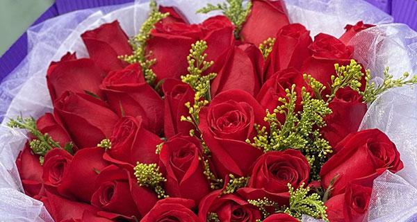 六朵玫瑰的象征意义(玫瑰花的花语与心灵寄托)