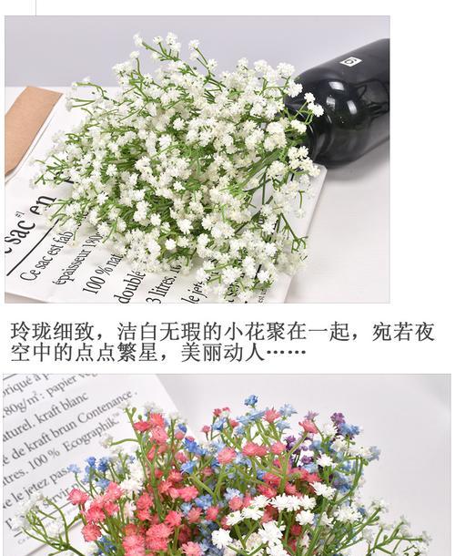 满天星的花语之美（色彩绽放）