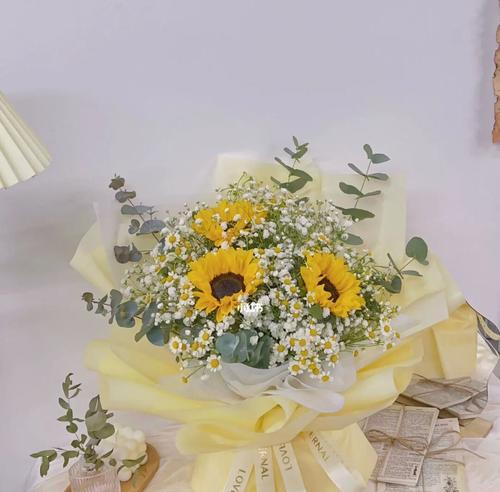 向日葵满天星的花语及适合送礼对象（点亮人生的希望）