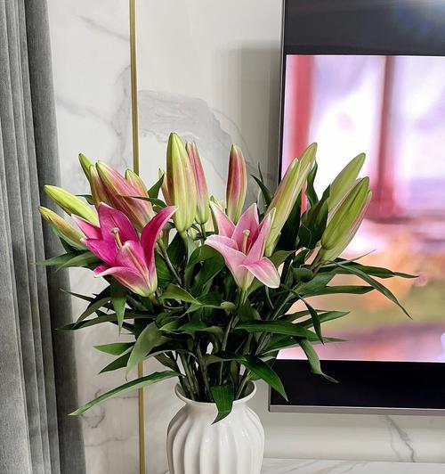 百合的象征意义与文化传承（探寻百合花背后的寓意与美学）