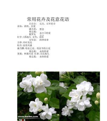 米兰花语（米兰花语的意义及象征）
