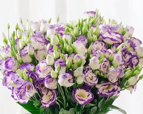 洋桔梗花语（探寻洋桔梗花语的深刻内涵）