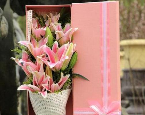 粉色百合花语与寓意(传递爱与祝福的花朵之语)