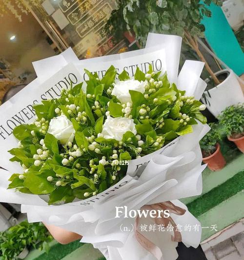 茉莉的花语与寓意——适合送给哪些人（解读茉莉的花语与寓意）