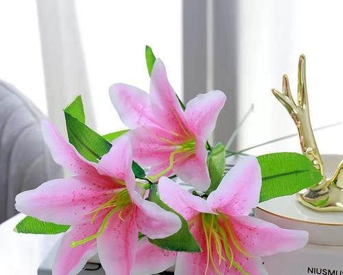 百合花与富贵竹的美丽结合（传承繁荣）