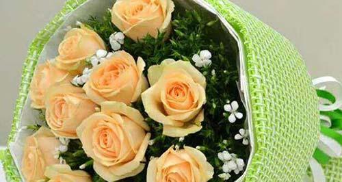 香槟玫瑰花的花语揭示情感和浪漫（香槟玫瑰花的象征意义和传达的情感）