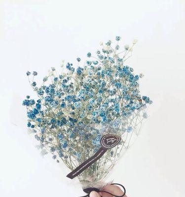 以蓝桉的花语之意义及送人的适宜场合（蓝桉花语的深层含义与传达方式）