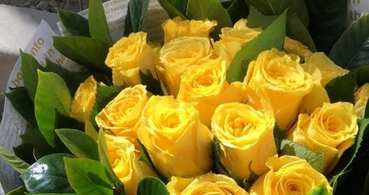 玫瑰花语之55朵花的深意（解读玫瑰花的神秘密码）