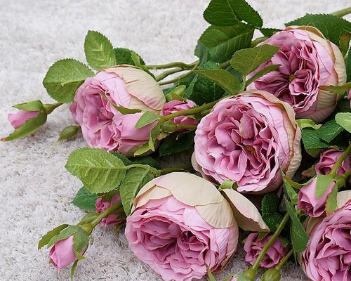 三朵玫瑰的象征意义（解读玫瑰花语）