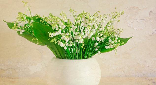 花开寄托希望（以花语传递无限希望）
