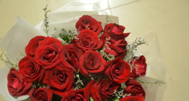 玫瑰花（迷人的花卉世界——玫瑰的魅力与多样性）