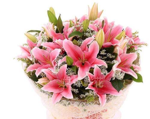 用菊花表达爱意，传递深情寓意（菊花花语与爱人之间的情感纽带）