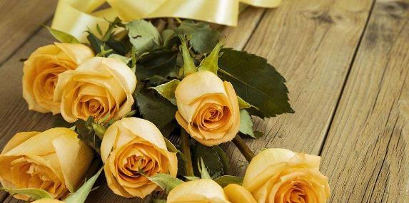 玫瑰花朵数的象征意义（探寻不同玫瑰花朵数背后的寓意）