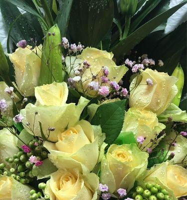 以黄玫瑰代表着意思（探索黄玫瑰的象征意义及文化内涵）