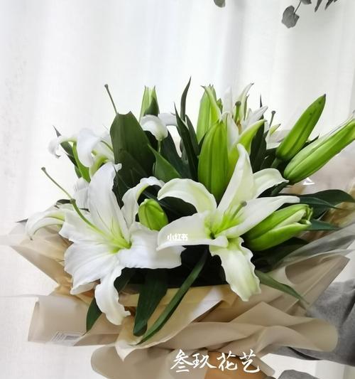 白百合的花语与意义（神圣纯洁的美丽之花——白百合）